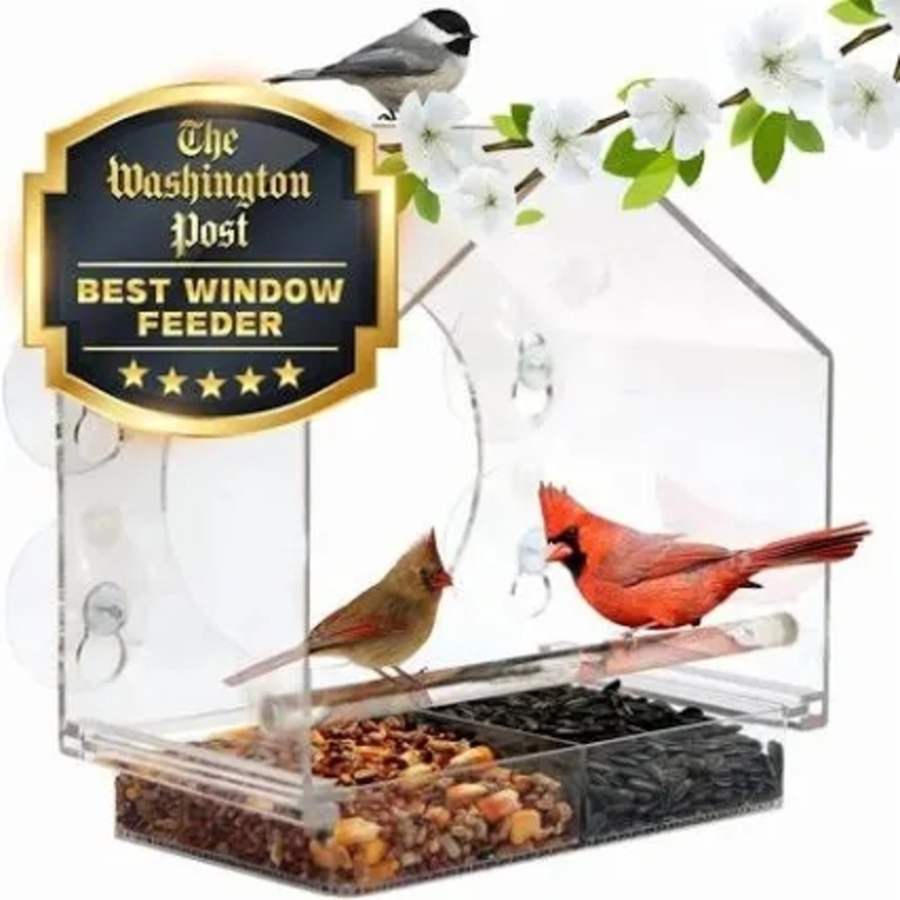 Bird's I View Window Bird Feeder